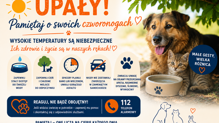 grafika zwierzęta.png