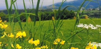 Kalendarz Ryterski 2019