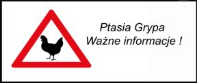 Pismo od Powiatowego Inspektora Weterynarii dotyczące ptasiej grypy
