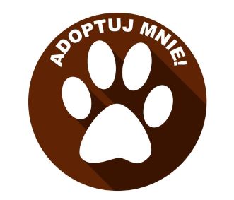 Zwierzęta do adopcji